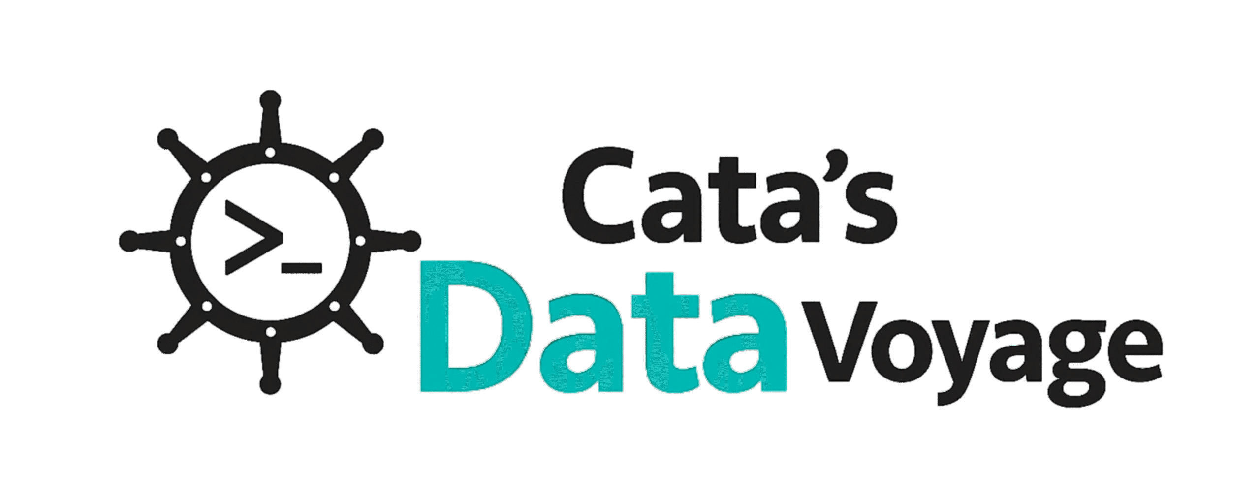 Catalina's Data Voyage