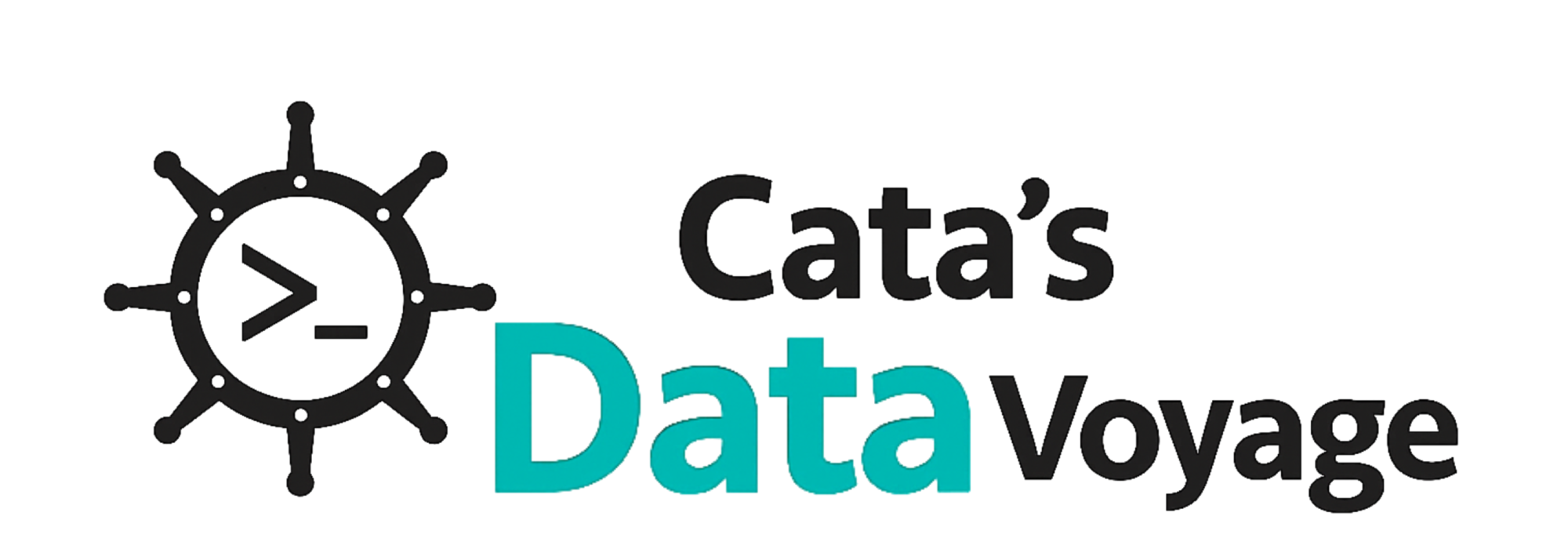 Catalina's Data Voyage